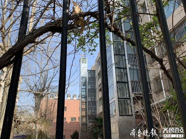 1584004509545817.jpeg eaf81a4c510fd9f9f27da8ef2f2f832c2934a4d2.jpeg